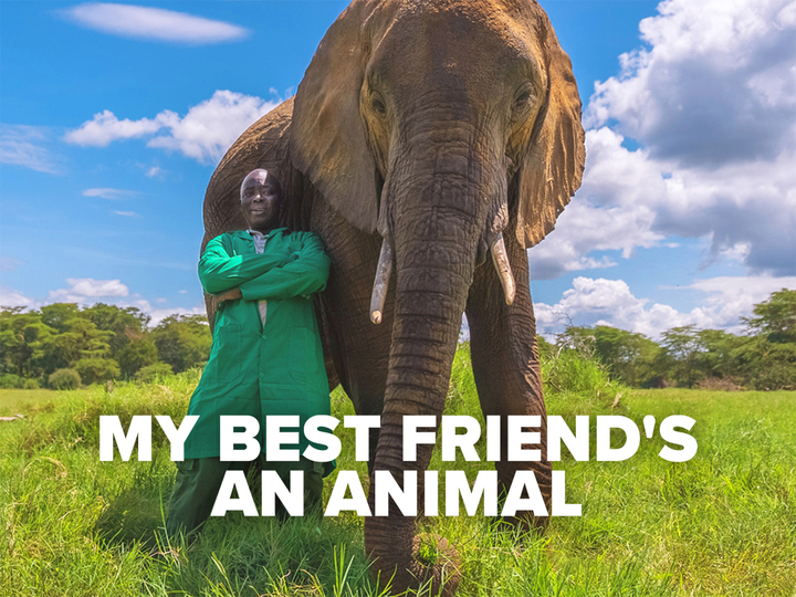 My Best Friend's An Animal